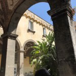 IMG_9